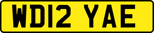 WD12YAE