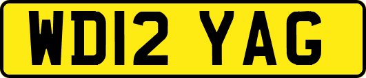 WD12YAG