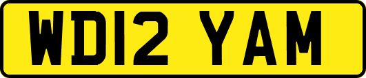 WD12YAM