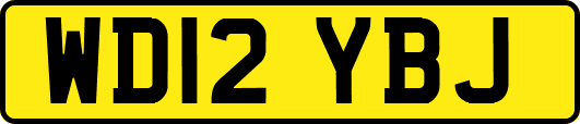 WD12YBJ