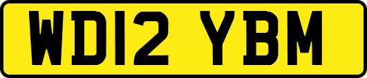 WD12YBM