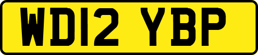 WD12YBP