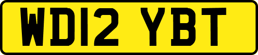 WD12YBT