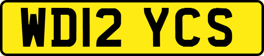 WD12YCS