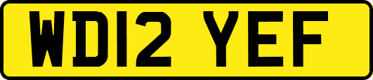 WD12YEF