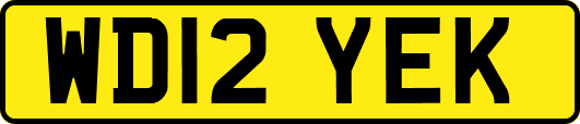 WD12YEK