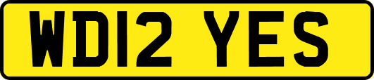 WD12YES