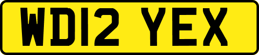 WD12YEX