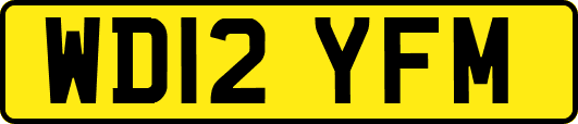WD12YFM