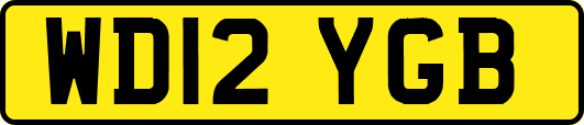 WD12YGB