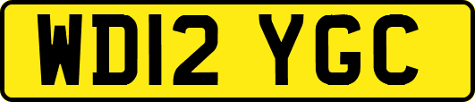 WD12YGC