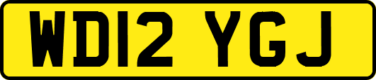 WD12YGJ