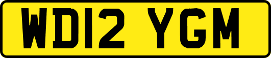 WD12YGM