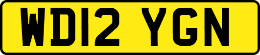 WD12YGN
