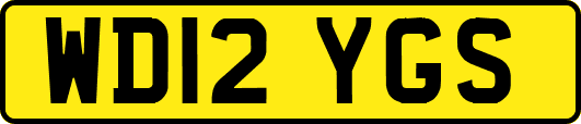 WD12YGS