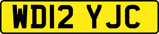 WD12YJC