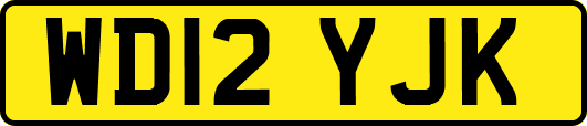 WD12YJK