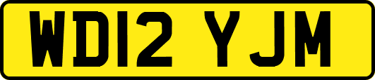 WD12YJM