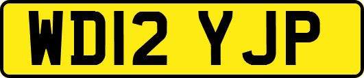 WD12YJP