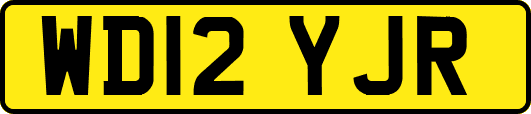WD12YJR
