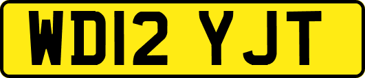 WD12YJT