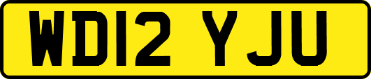 WD12YJU