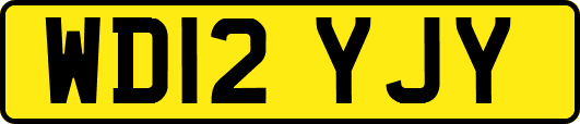 WD12YJY