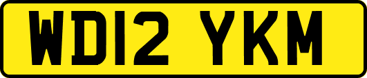 WD12YKM