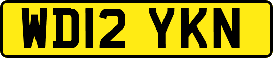 WD12YKN