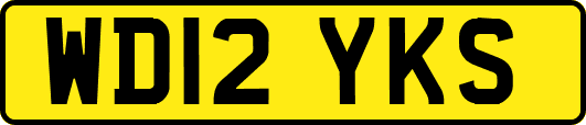 WD12YKS
