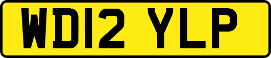 WD12YLP