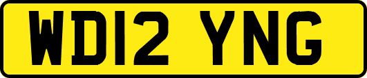 WD12YNG