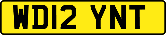 WD12YNT