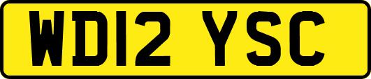WD12YSC
