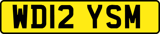 WD12YSM