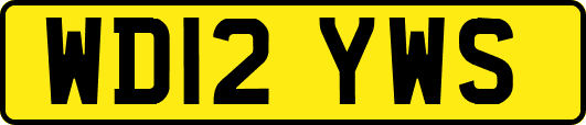 WD12YWS