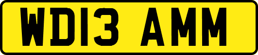 WD13AMM