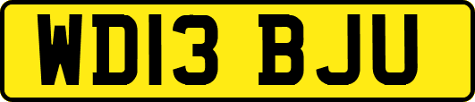 WD13BJU