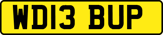 WD13BUP