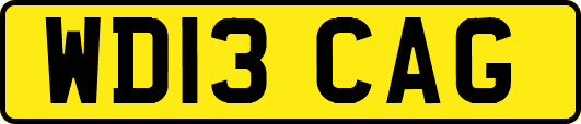 WD13CAG