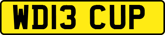 WD13CUP