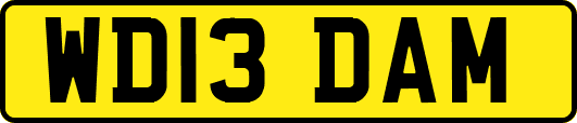 WD13DAM