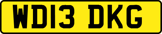 WD13DKG