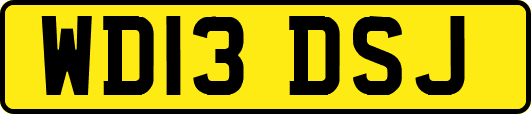 WD13DSJ