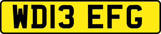 WD13EFG
