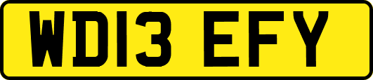 WD13EFY