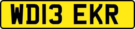 WD13EKR
