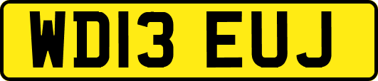 WD13EUJ