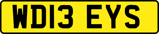 WD13EYS
