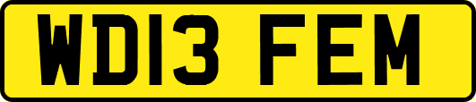 WD13FEM